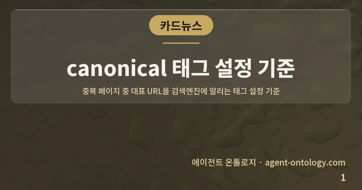 canonical 태그 설정 기준 — 표지: 중복 페이지 중 대표 URL을