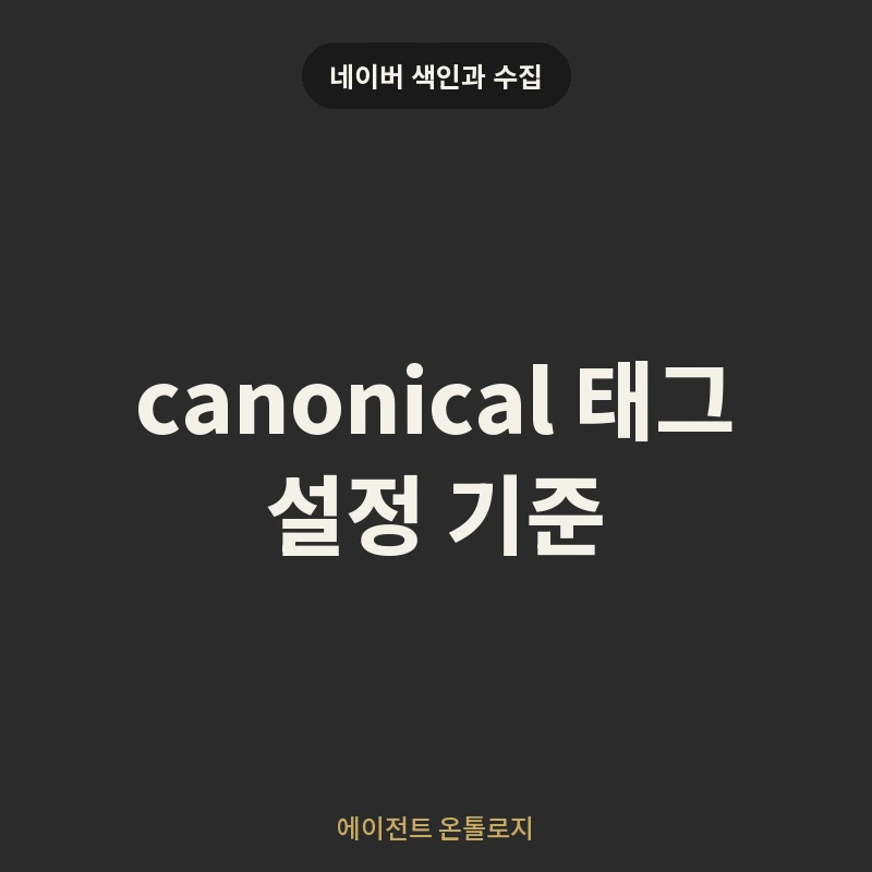 canonical 태그 설정 기준 안내 카드