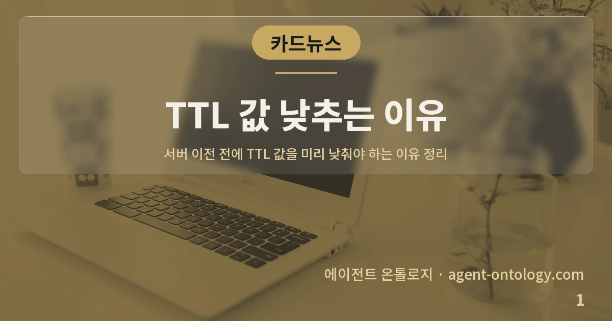 TTL 값 낮추는 이유 — 표지: 서버 이전 전에 TTL 값을 미리 낮춰야 하는 이유 정리